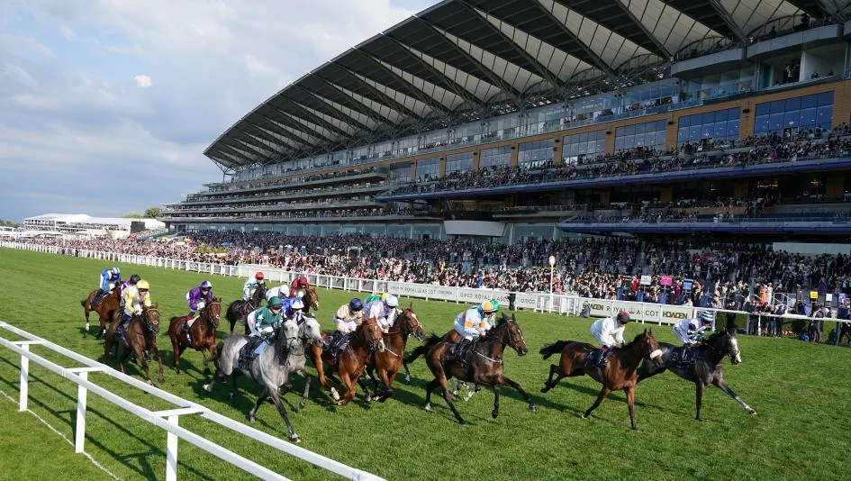 体育博彩 - 骏马传奇 - 金宝博