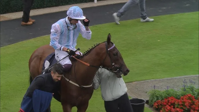 凯旋之光 - 马匹血统 - 金宝博