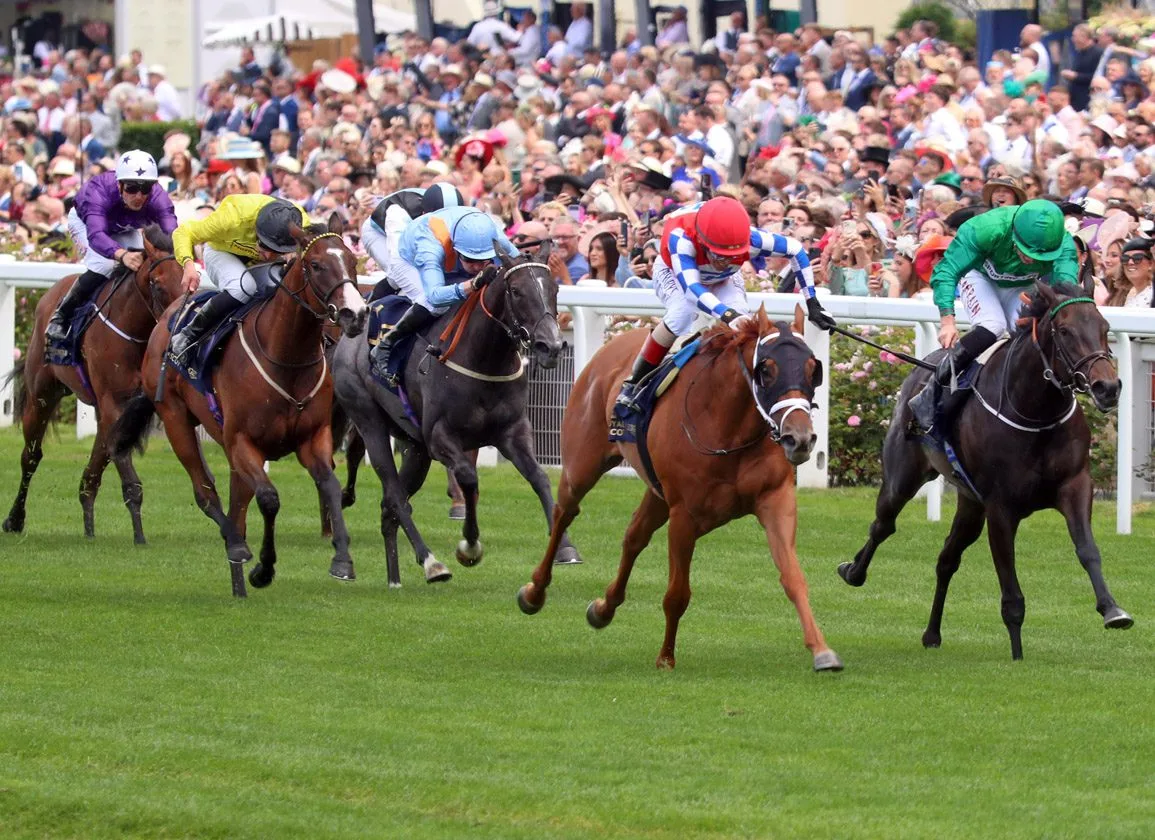 雨战赛事的投注特殊策略 - 金宝博