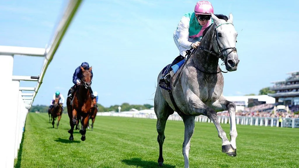 今日焦点赛事头号热门 - 赛马分析 - 金宝博