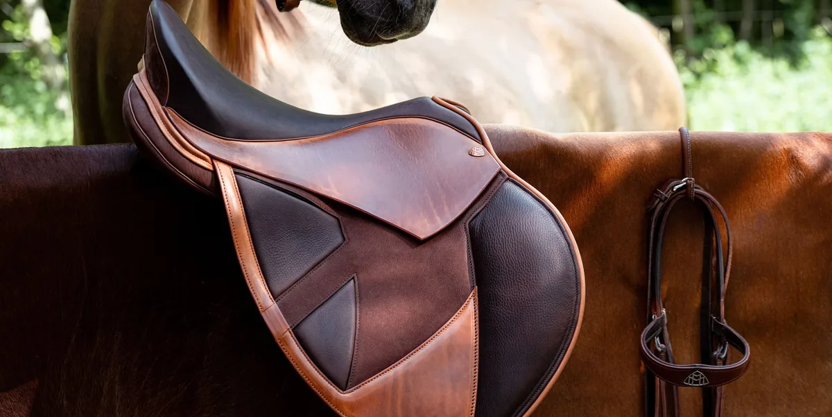 母系血统的隐藏价值 - 金宝博